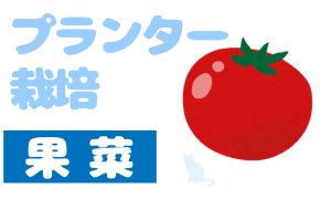 プランター栽培_果菜
