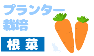 プランター栽培_根菜